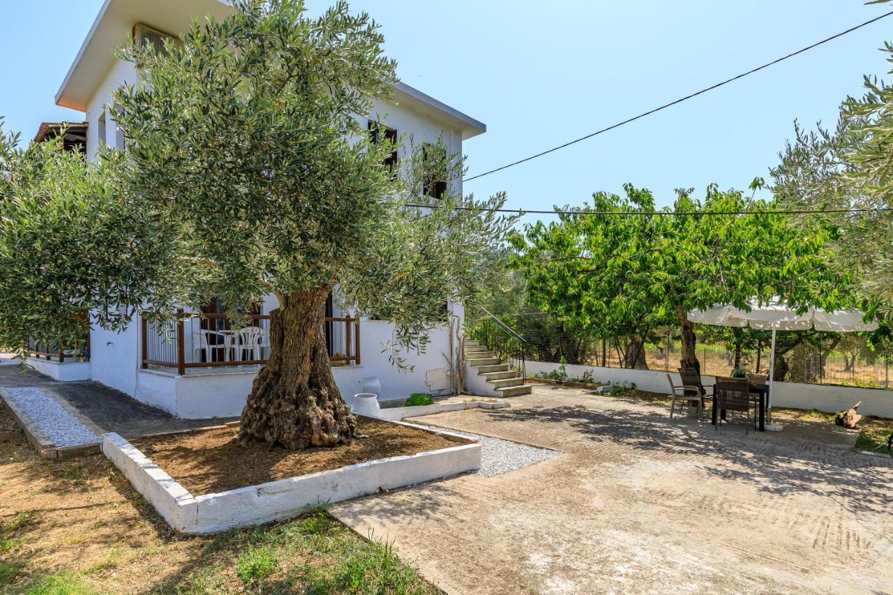 Skopelos Evergreen Apartments Stafylos Dış mekan fotoğraf