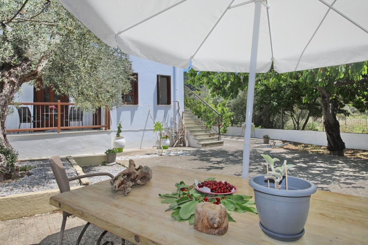 Skopelos Evergreen Apartments Stafylos Dış mekan fotoğraf