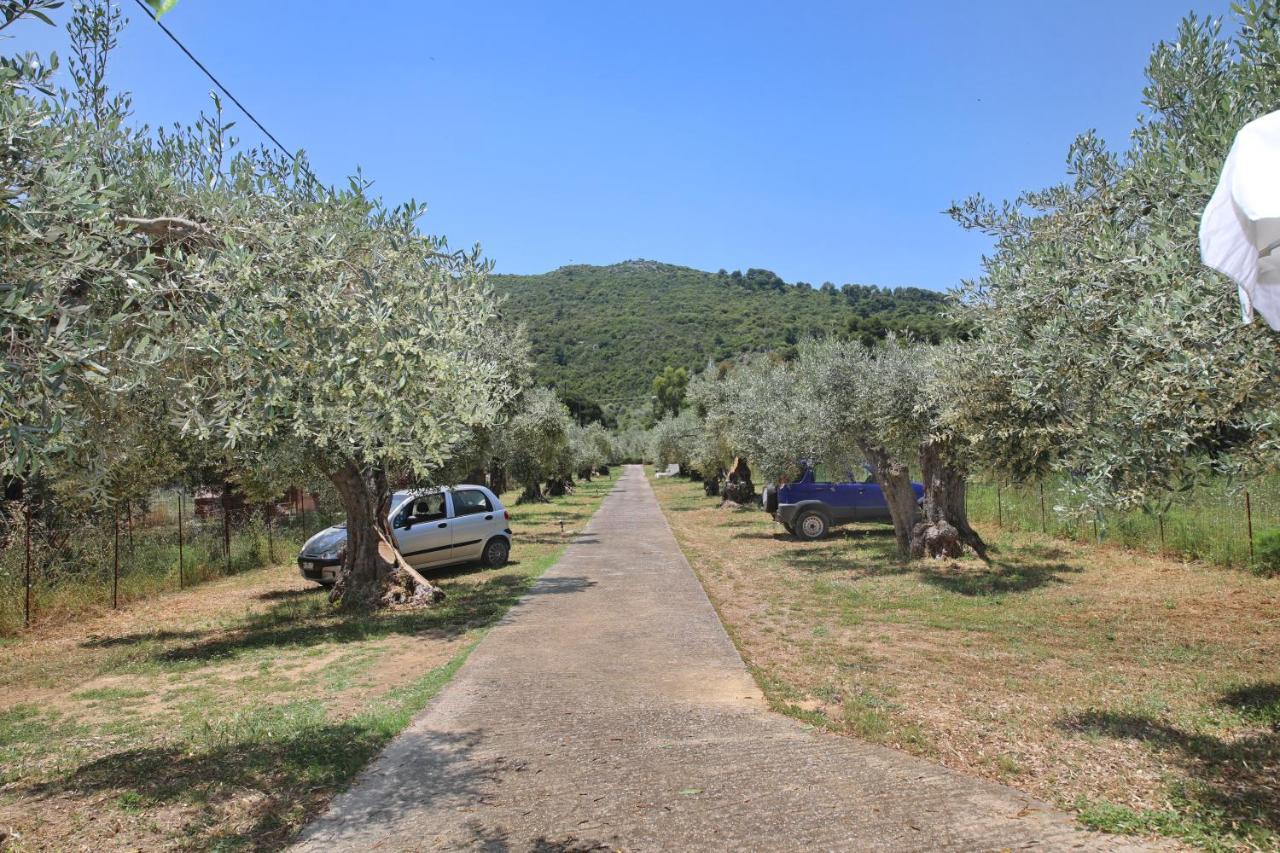 Skopelos Evergreen Apartments Stafylos Dış mekan fotoğraf